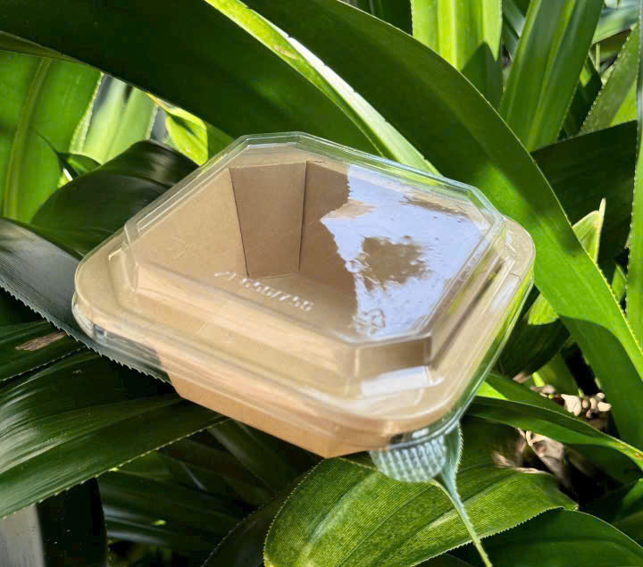 hộp giấy kraft vuông 300ml