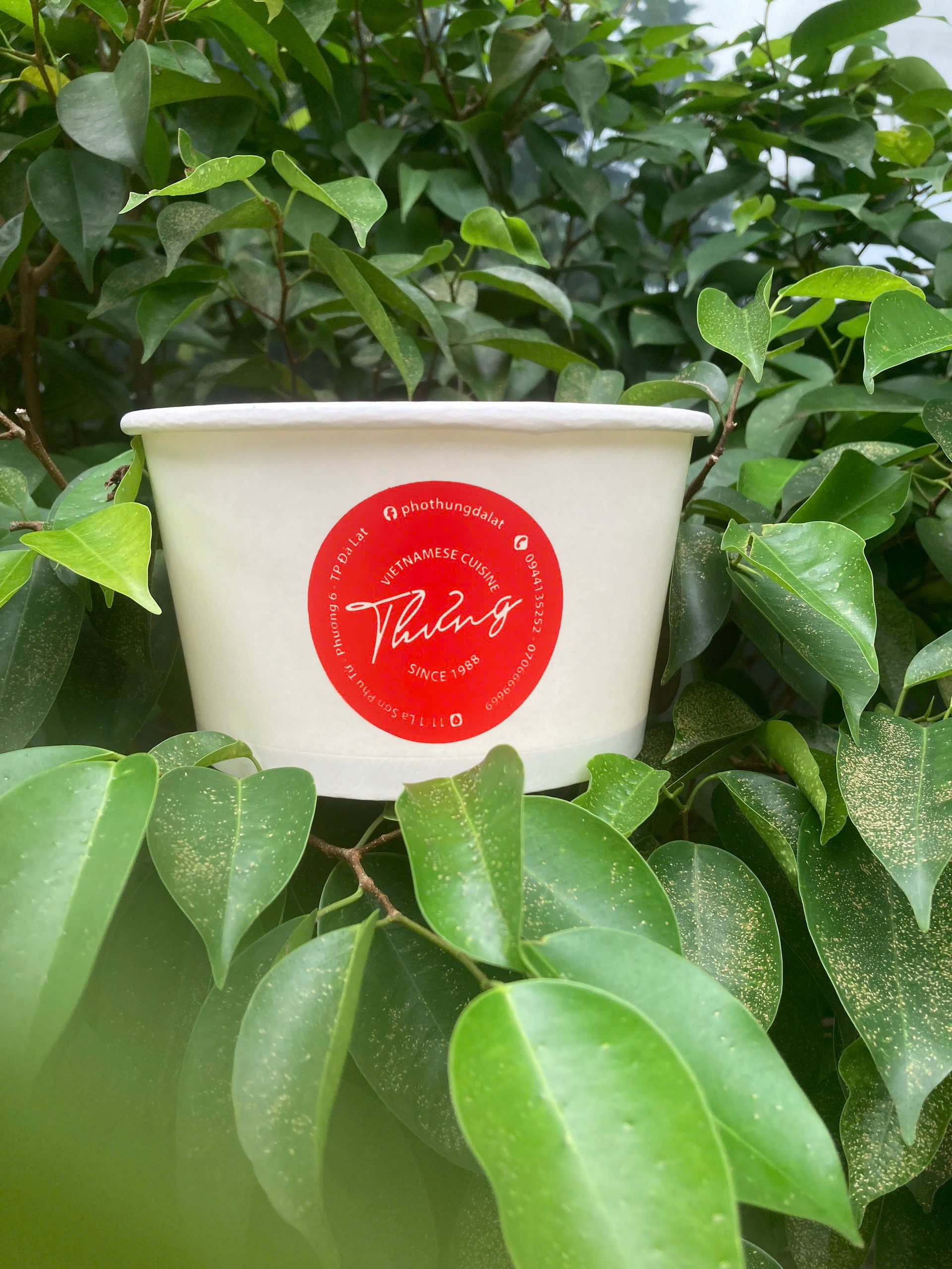 in tô giấy 1100ml giá sỉ