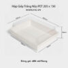 Hộp giấy trắng nắp pet 205.125